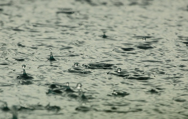 Дождь и гроза ожидаются завтра в Ульяновской области 