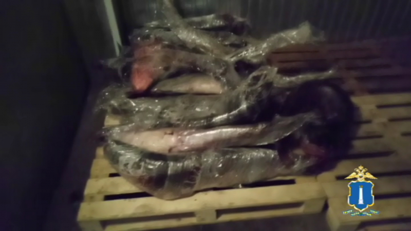  Три браконьера во время нереста выловили из Черемшана 10 тонн рыбы