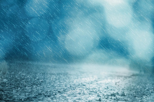 Дождь ожидается завтра в Ульяновской области