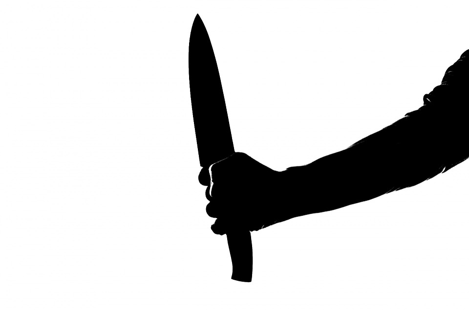 В ульяновской школе-интернате  один воспитанник ранил ножом другого