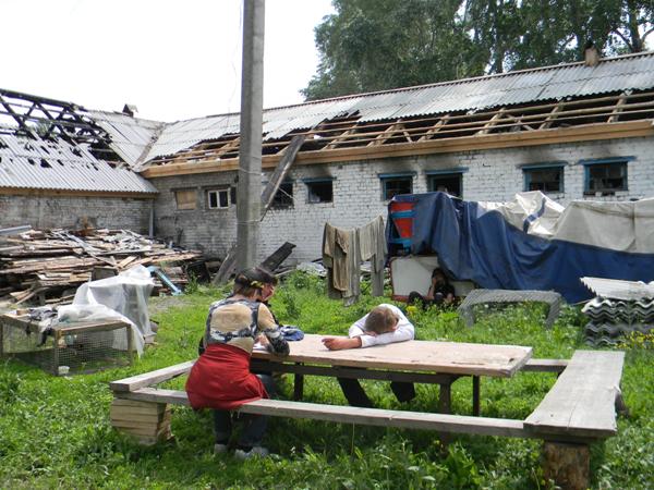 Пожар на ульяновском ипподроме: 22 лошади сгорели заживо, девушка-конюх попала в реанимацию