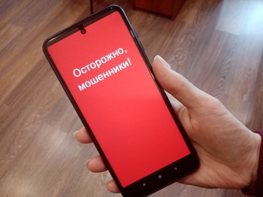 В Ульяновске 20-летняя девушка лишилась более 2 млн рублей, поверив в «подарок на 8 марта»