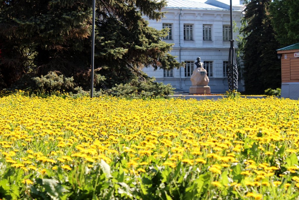 По народным приметам 15 марта можно узнать, каким будет лето