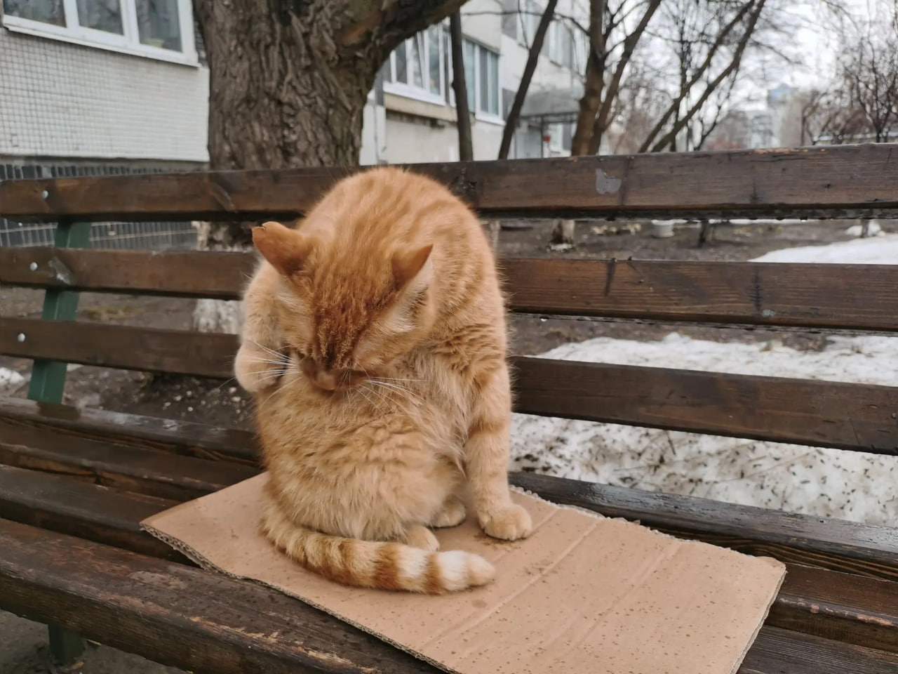 Погода в Ульяновске 5 апреля: от тумана и заморозков до +17 и грозы