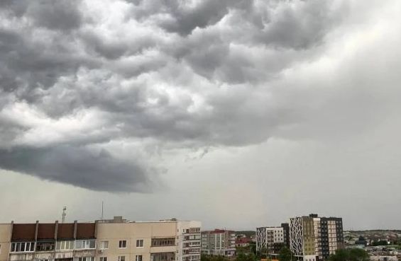 Штормовое предупреждение: в Ульяновске ожидается сильный ветер