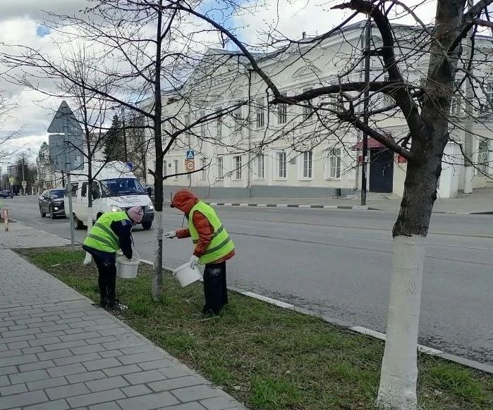 В Ульяновске начали белить деревья