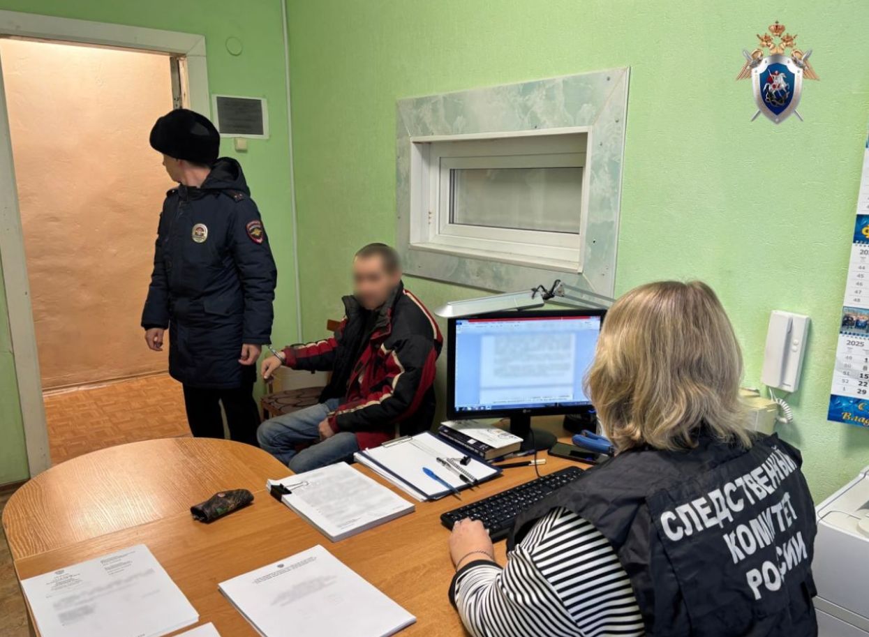 Суд вынес приговор двум жителям поселка Языково за убийство знакомого кинескопом от телевизора