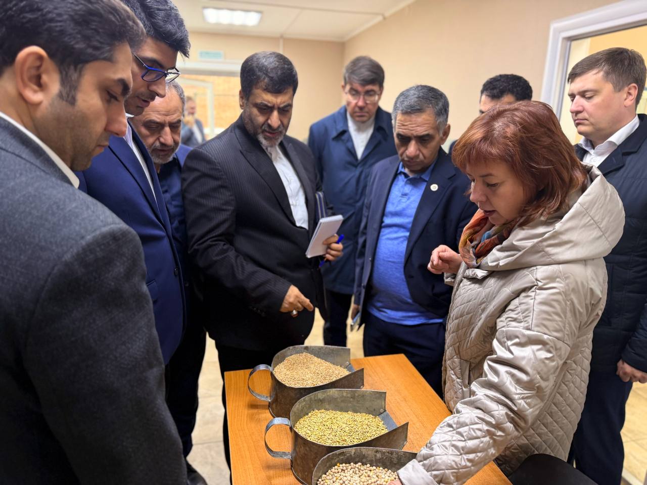 Ульяновская область накормит Иран зерном и маслом, а взамен получит томаты и сухофрукты
