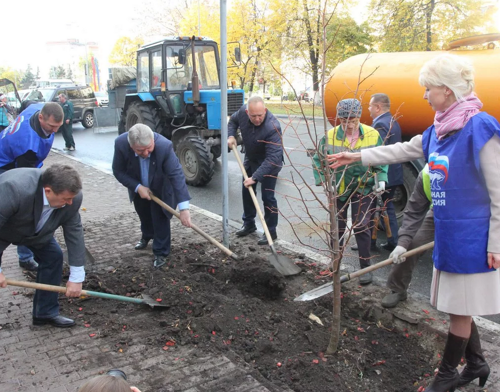 В ряд высадили 12 деревьев. Обкопка деревьев. Весеннее благоустройство в Ульяновской области стартует с 5 апреля.. Волонтеры Смоленска сажают деревья. Около одной тысячи деревьев высадили на субботнике..