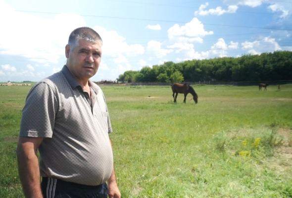Эйваз Гасымов при помощи СМИ и минсельхоза в очередной раз отстоял свою ферму