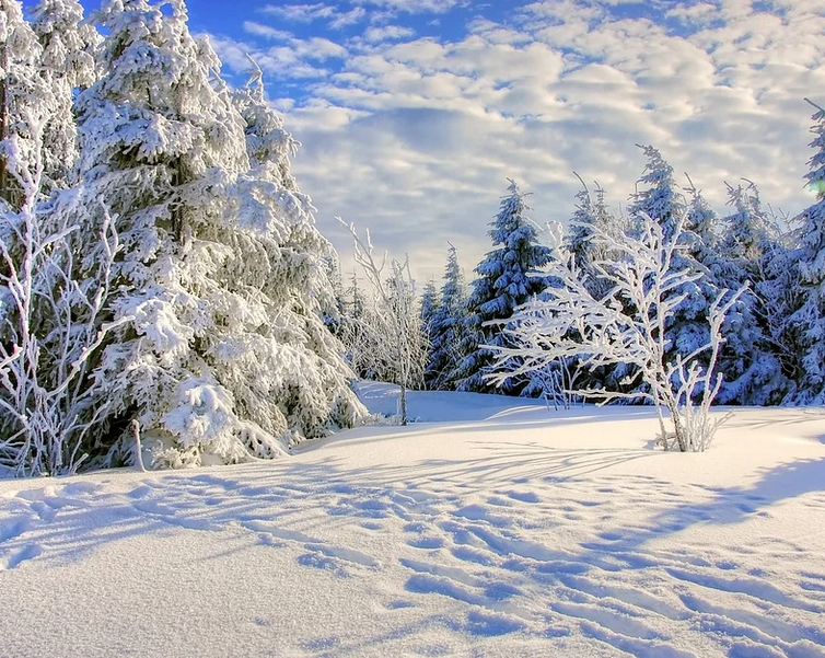 Под влиянием западного антициклона снег в Ульяновской области прекратится