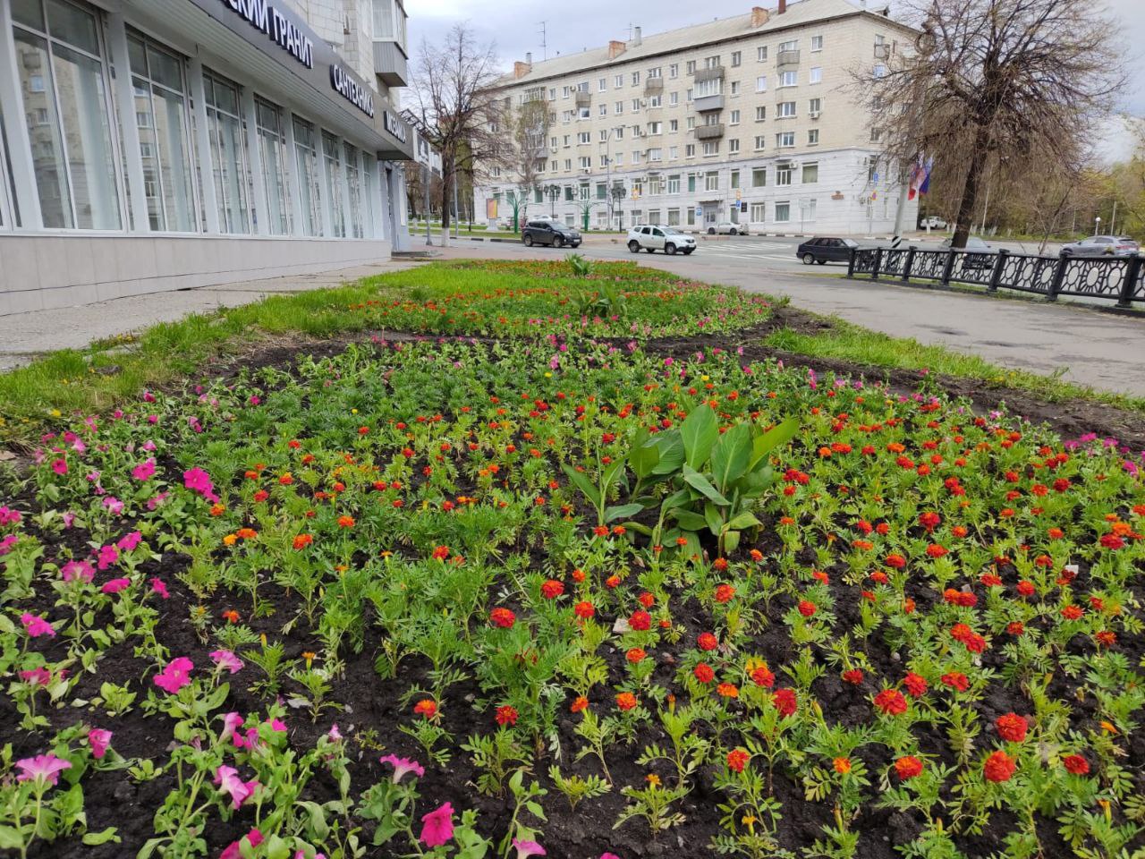 В субботу в Ульяновске высадили почти 20 тысяч цветов