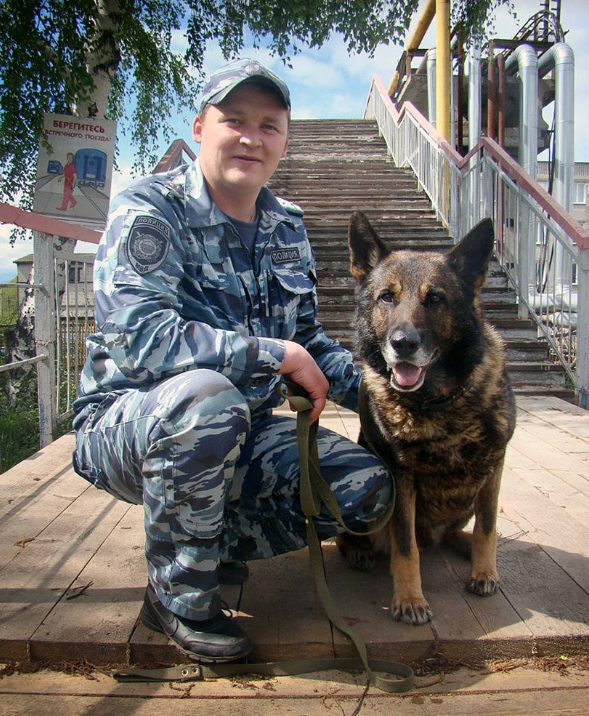 На железнодорожном вокзале в Ульяновске служебная собака учуяла коакин у пассажира