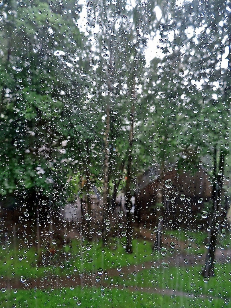 Рано радовались лету! На Ульяновск снова идут дожди