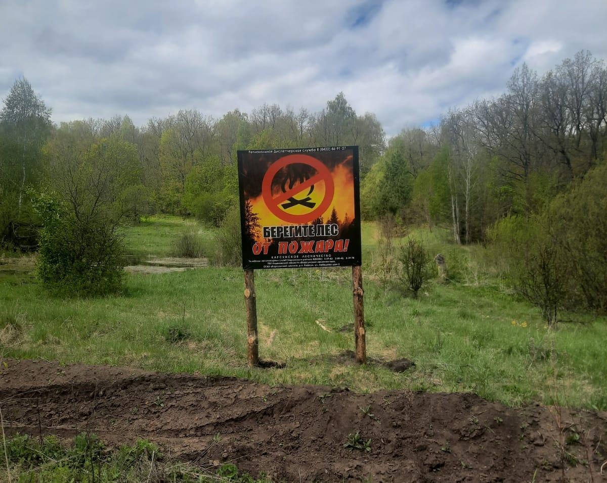В Ульяновской области 11 лесных пожаров уничтожили более 13 гектаров леса