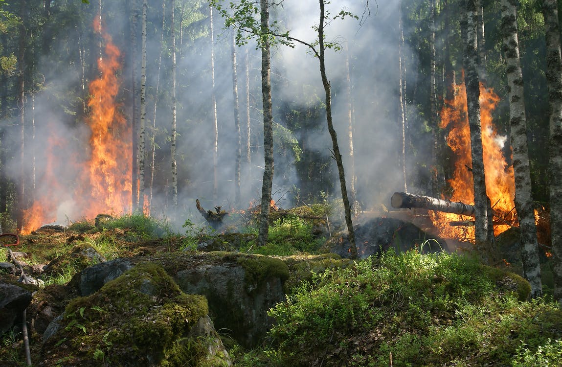 МЧС предупреждает о «желтом» уровне пожарной опасности в лесах Ульяновска