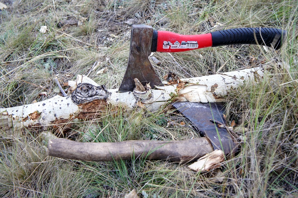 В Цильнинском районе оперативники поймали «чёрного» лесоруба