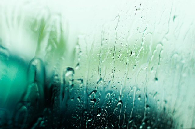 Дождь и 25 градусов тепла: синоптики дали прогноз на вторник