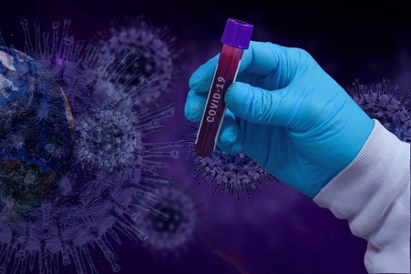 Заболели 30 человек, умерших нет: данные по коронавирусу на 23 июля