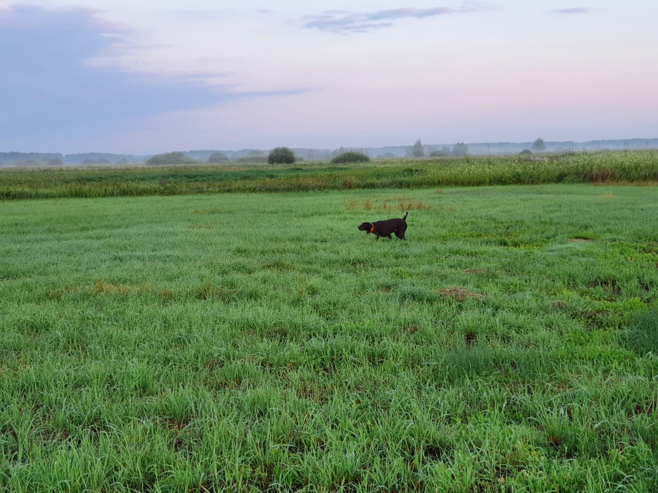 В Ульяновской области открыли охоту на дичь