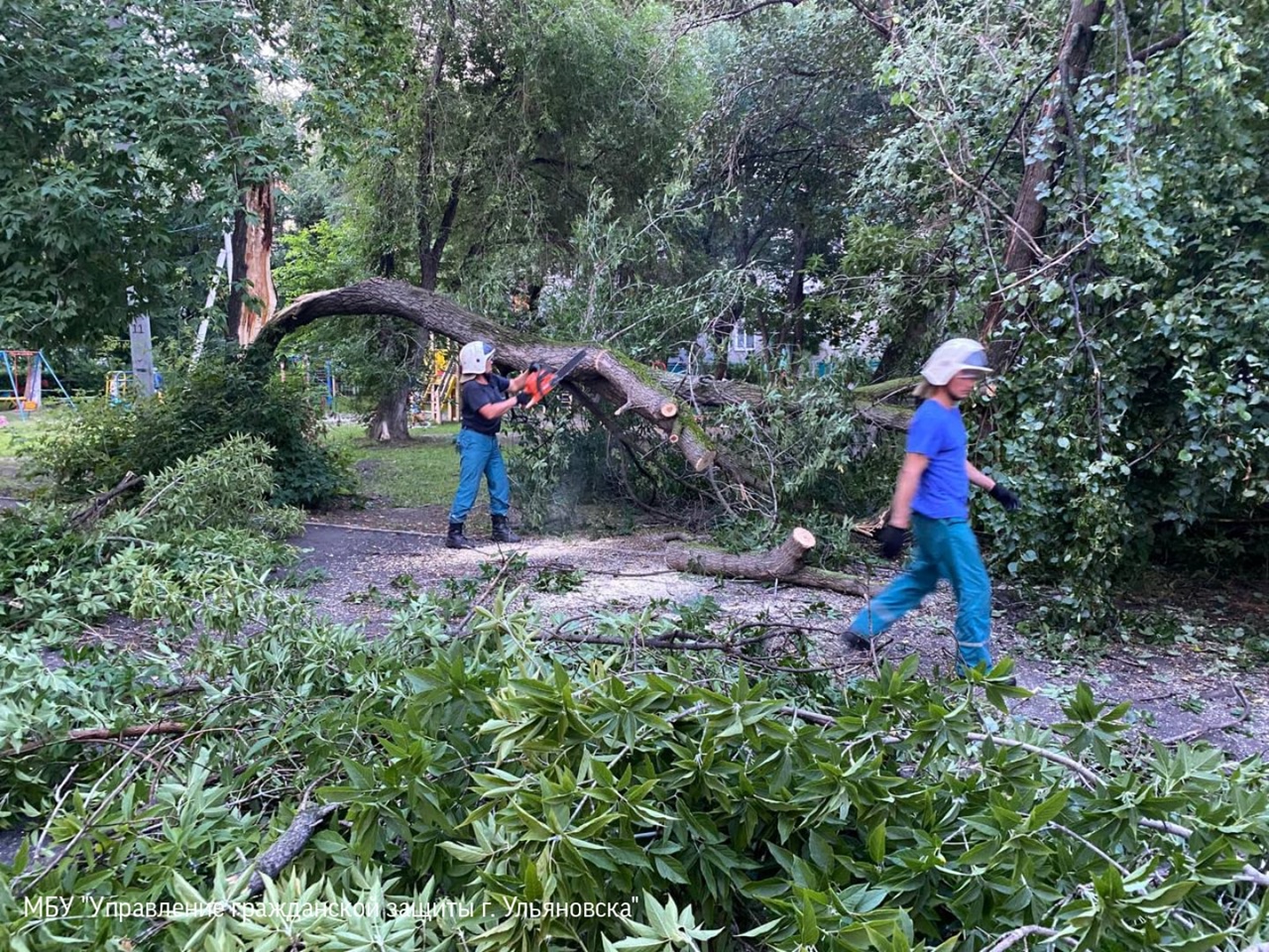 В Ульяновске снесенное ветром дерево упало на два автомобиля