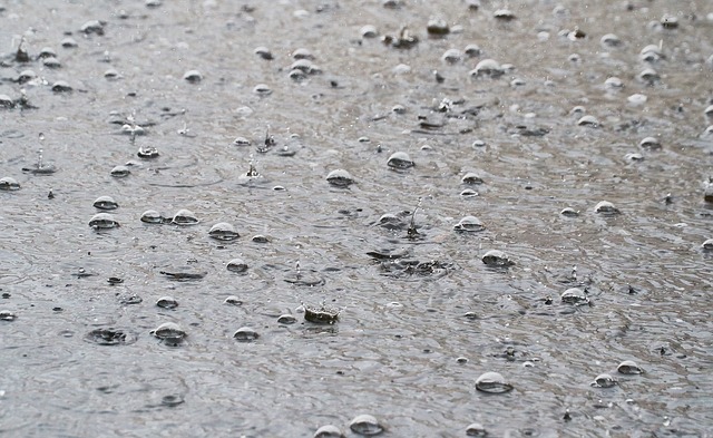 Синоптики обещают ульяновцам дождь и жару