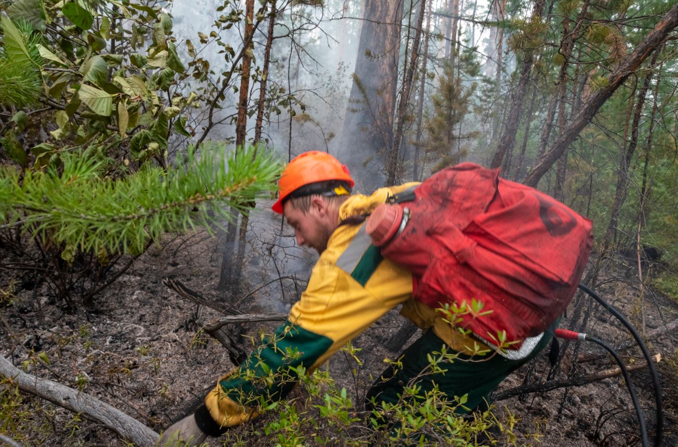 Ульяновская область попала в зону риска по лесным пожарам