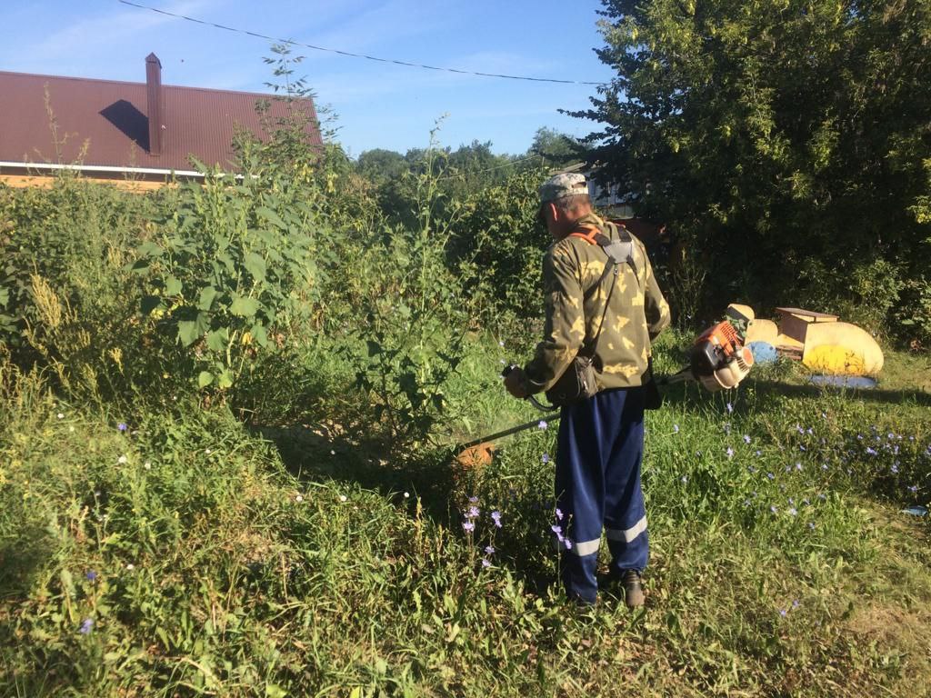 Хозяин участка решил покрасить. Уборка участка. Расчистка дачного участка. Уборка дачного участка. Уборка приусадебного участка.