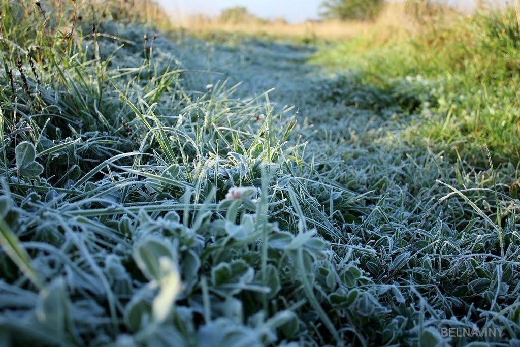 В Ульяновской области ожидаются заморозки до минус одного градуса