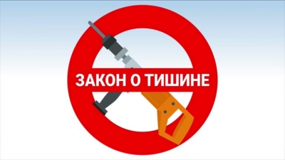 Полицейские Ульяновска составили более 600 протоколов на нарушителей закона о тишине