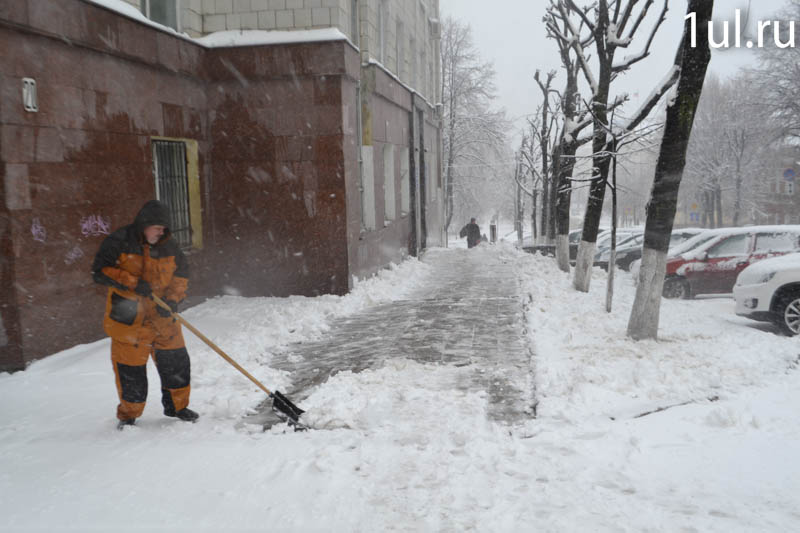 Циклон принесет в Ульяновск мокрые снегопады