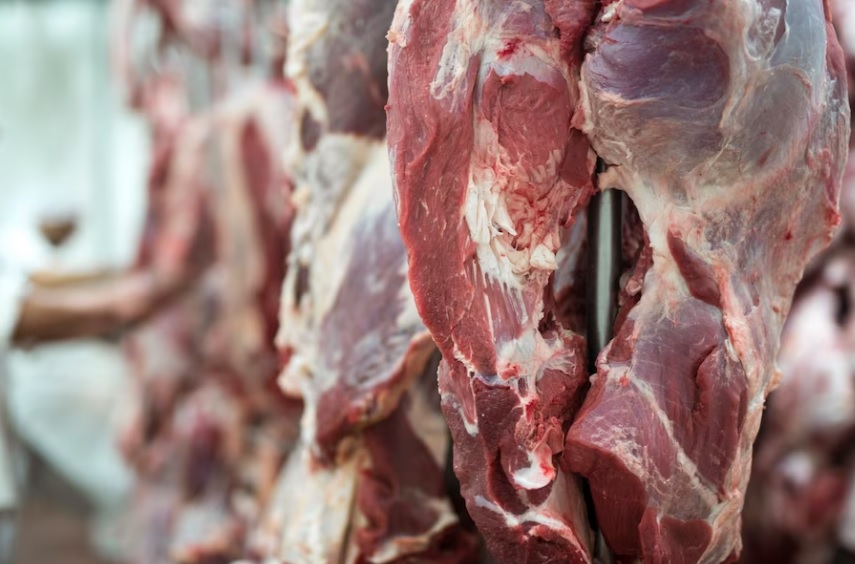 Стало известно, какое наказание грозит семье из Чувашии, продавшей зараженное сибирской язвой мясо