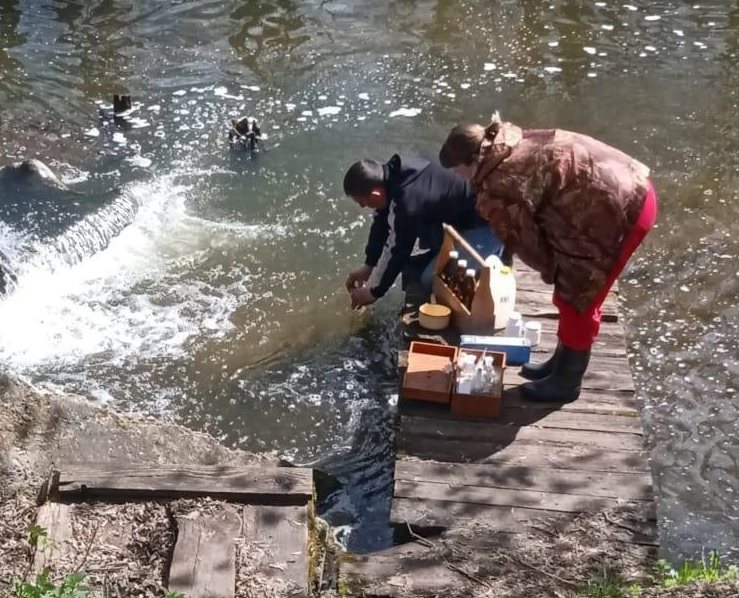 Пробы воды из пруда Фабричный в Мулловке отправили в лабораторию