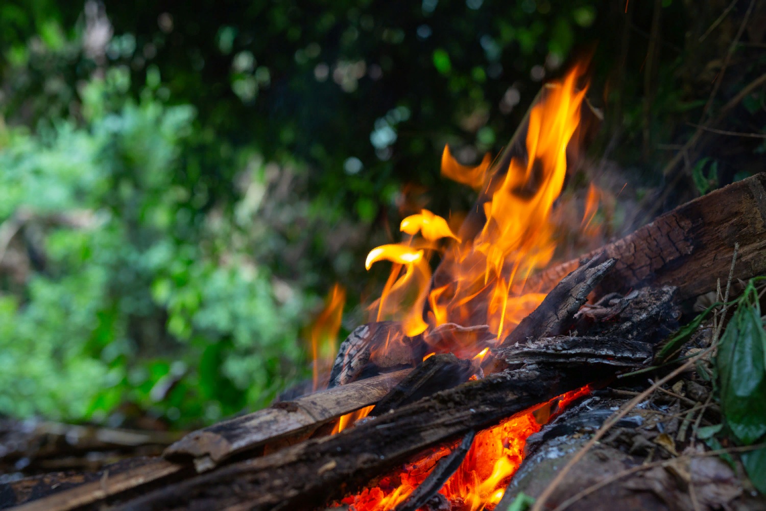 МЧС предупреждает: до 18 июня в Ульяновской области сохранится высокая пожароопасность