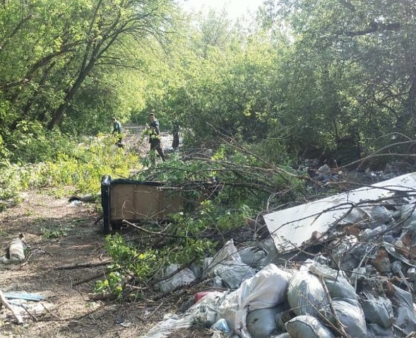 Ульяновский чиновник поплатился за свалку на Сельдинском шоссе