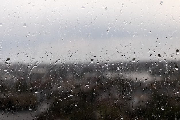 Облачно, местами небольшой дождь: погода в Ульяновской области на 25 июня