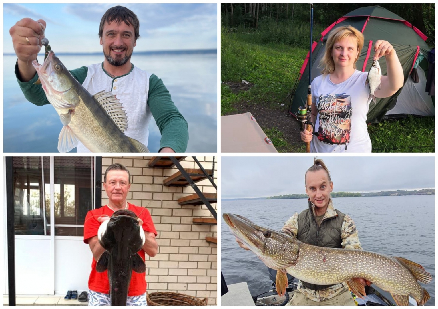 Ульяновские вип-рыбаки рассказали, где поймать 60-килограммового сома