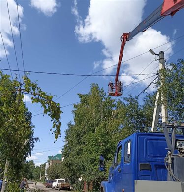 В Ульяновске за неделю снесли более 60 аварийных деревьев