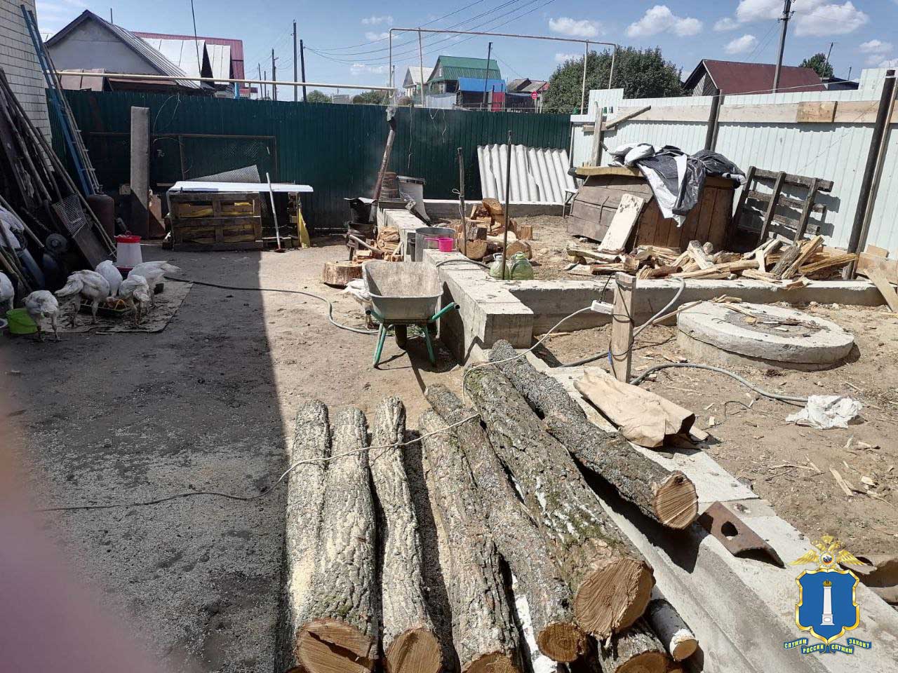 Житель Пензенской области нарубил в ульяновском лесу деревьев на 195 тысяч рублей