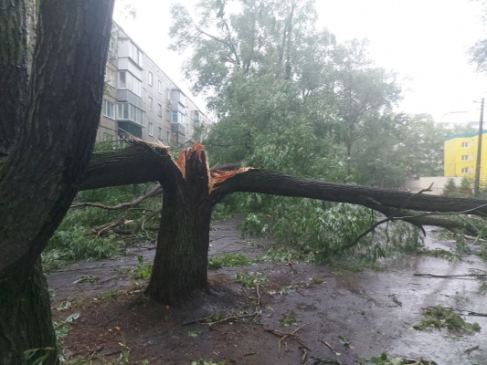 Вчерашний ураган в Ульяновске покалечил восьмерых