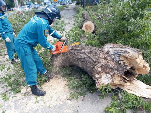 Ураган повалил в Ульяновске 114 деревьев: городские службы устраняют последствия