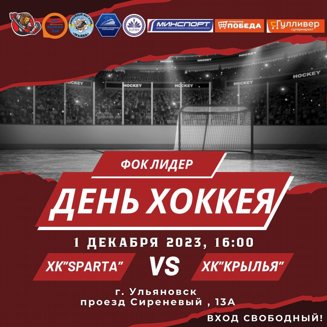 Всероссийский День хоккея в Ульяновске отметят товарищеским турниром учителей и летчиков