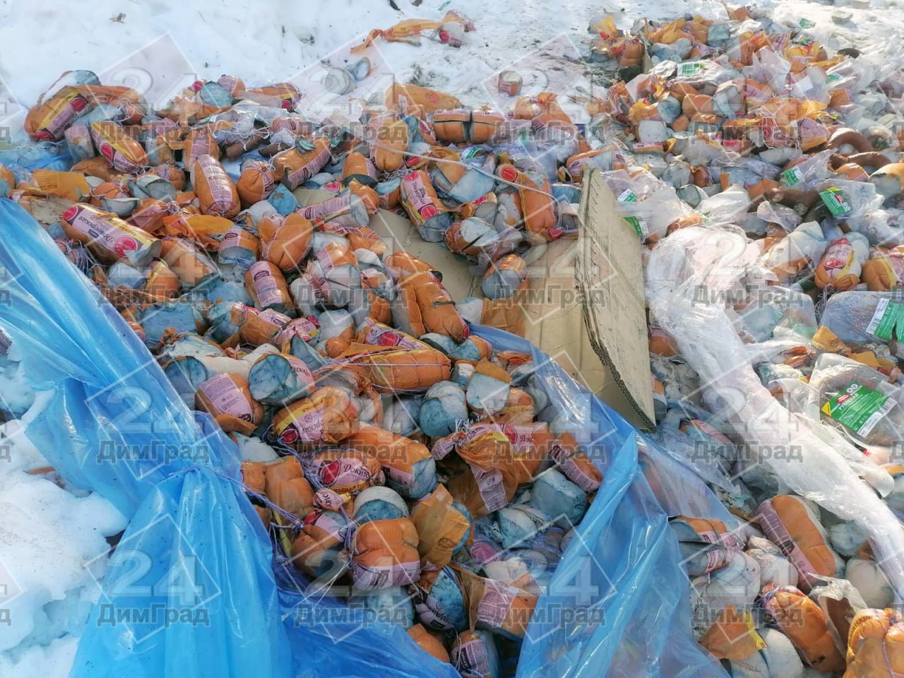 В Димитровграде обнаружили свалку тухлой колбасы