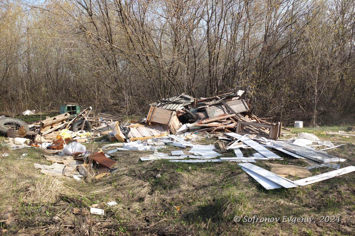 Лесопосадки возле Ульяновска завалили горами мусора
