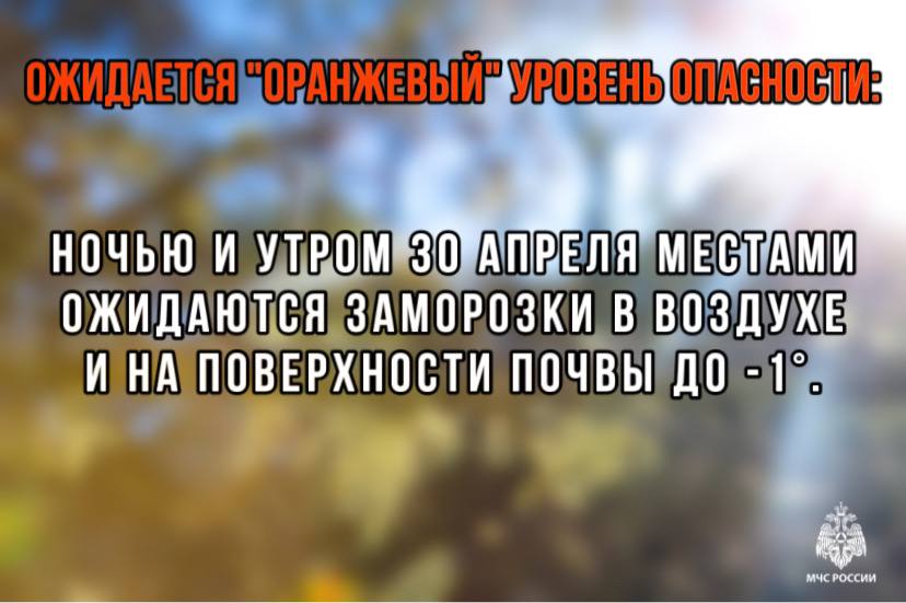 МЧС предупреждает о ночных заморозках в Ульяновске