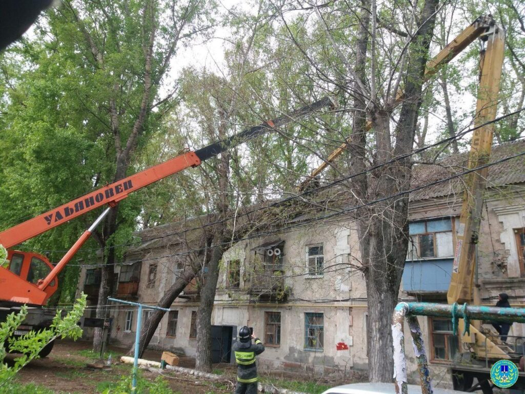 В Засвияжье старые тополя едва не разрушили крышу двухэтажного дома