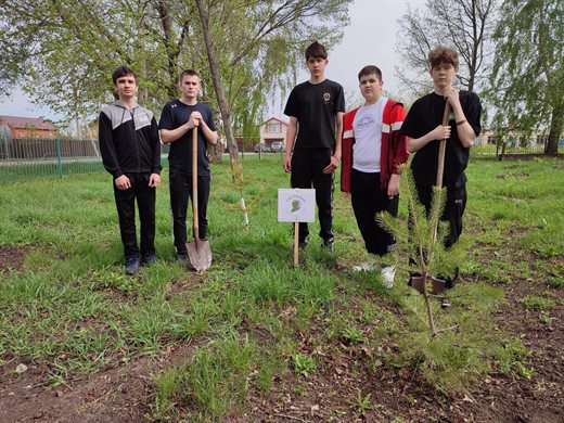 Школьники из Старомайнского района высадили «Сад памяти»