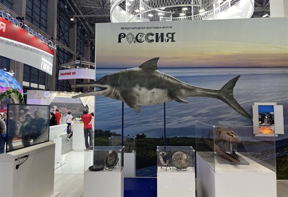 Из экспозиции выставки-форума «Россия» убрали ульяновский авиасимулятор ИЛ-76