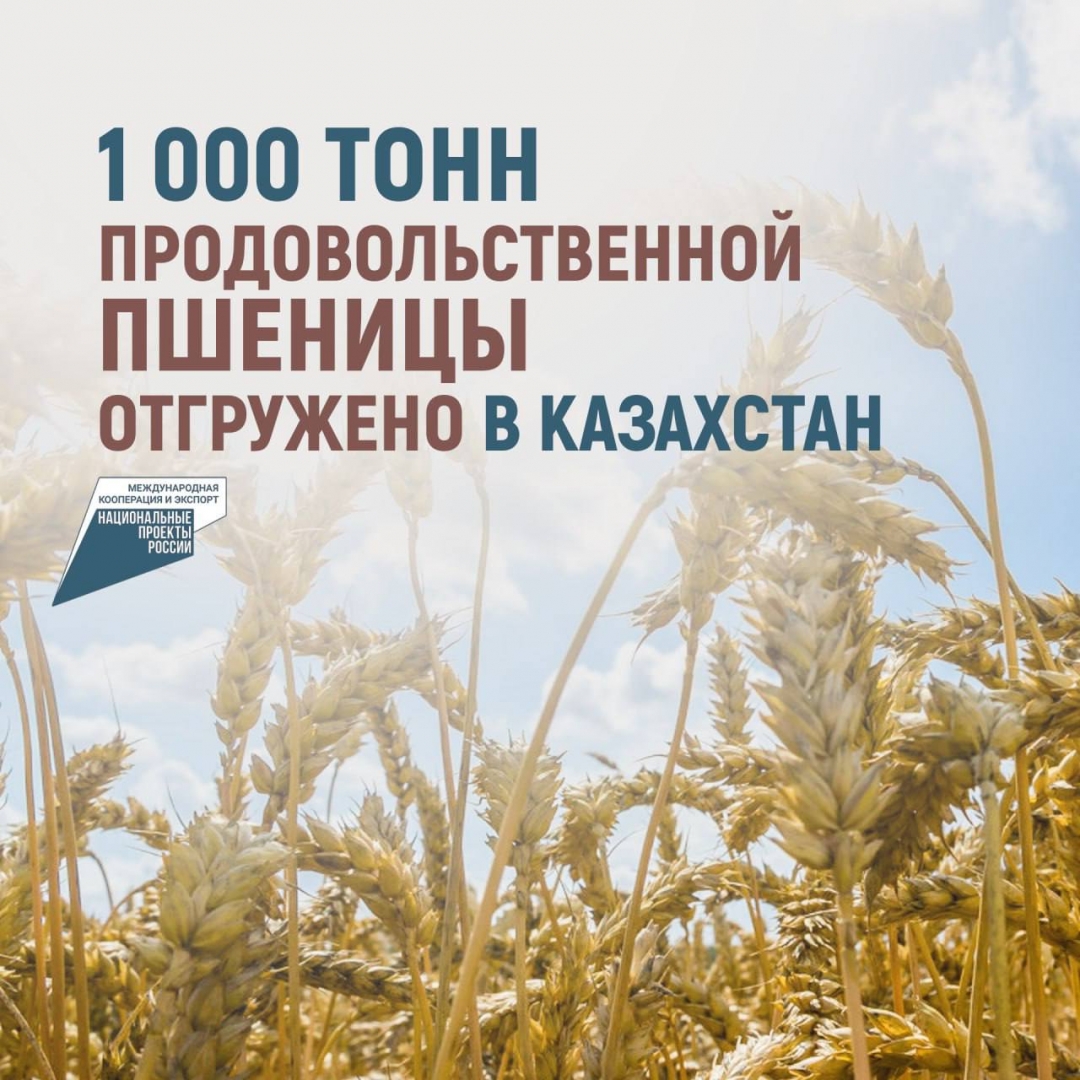 Из Ульяновской области в Казахстан отправили 1000 тонн пшеницы