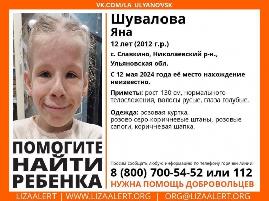 Пропавшую в селе Славкино девочку нашли живой в 17 км от дома